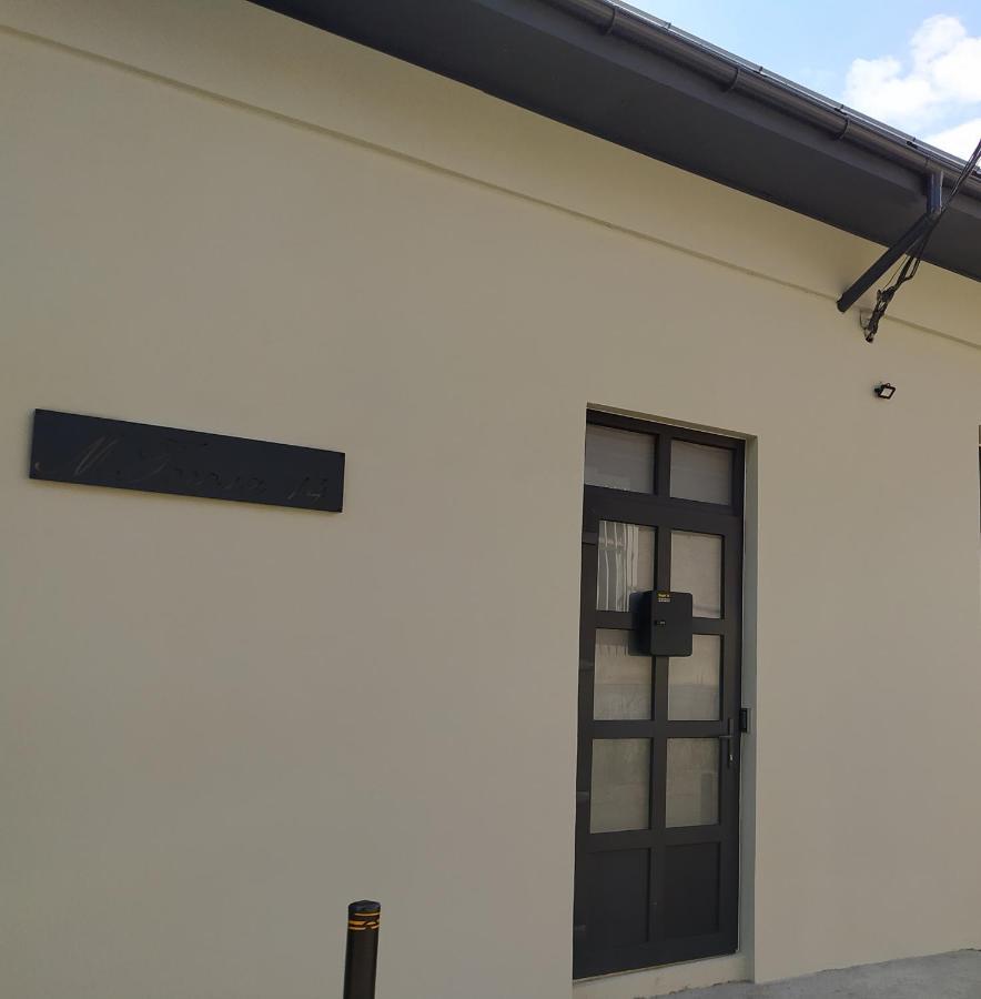 Gogol 14 Апартаменти В Історичному Центрі Міста Uzhhorod Εξωτερικό φωτογραφία