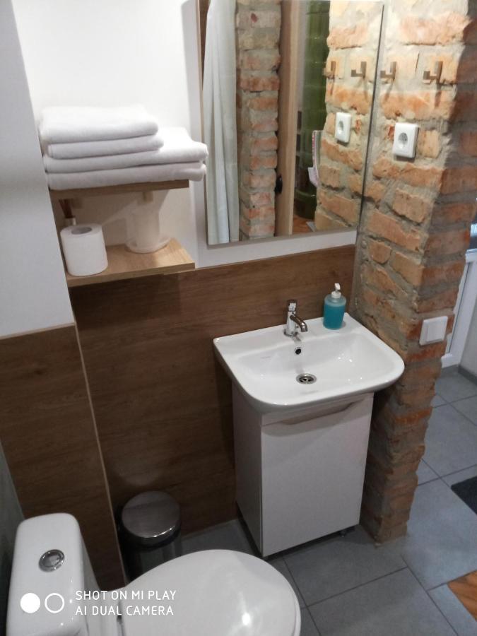 Gogol 14 Апартаменти В Історичному Центрі Міста Uzhhorod Εξωτερικό φωτογραφία