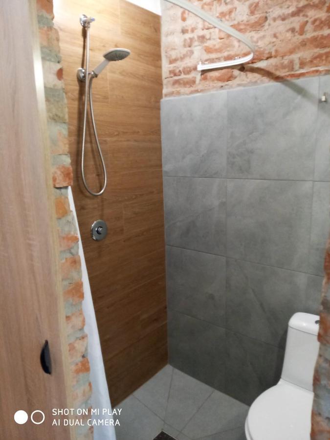 Gogol 14 Апартаменти В Історичному Центрі Міста Uzhhorod Εξωτερικό φωτογραφία