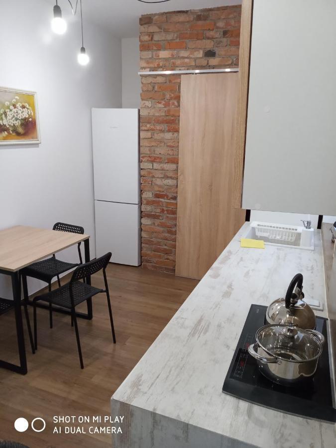 Gogol 14 Апартаменти В Історичному Центрі Міста Uzhhorod Εξωτερικό φωτογραφία