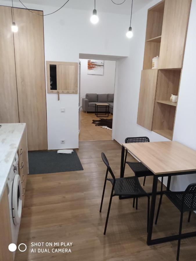Gogol 14 Апартаменти В Історичному Центрі Міста Uzhhorod Εξωτερικό φωτογραφία