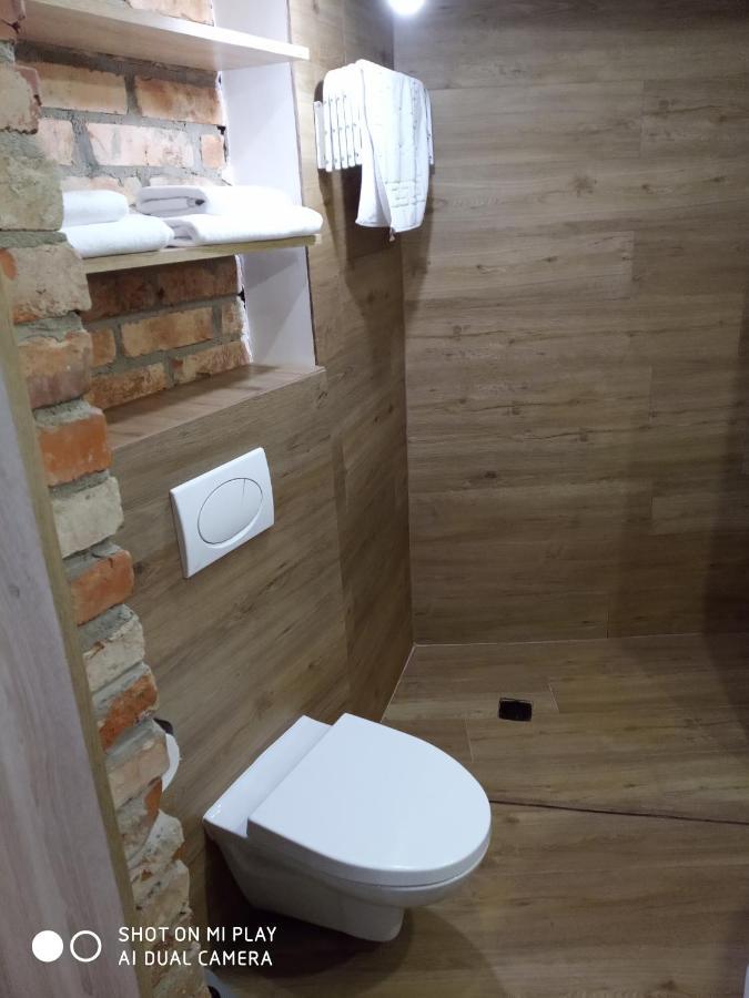 Gogol 14 Апартаменти В Історичному Центрі Міста Uzhhorod Εξωτερικό φωτογραφία